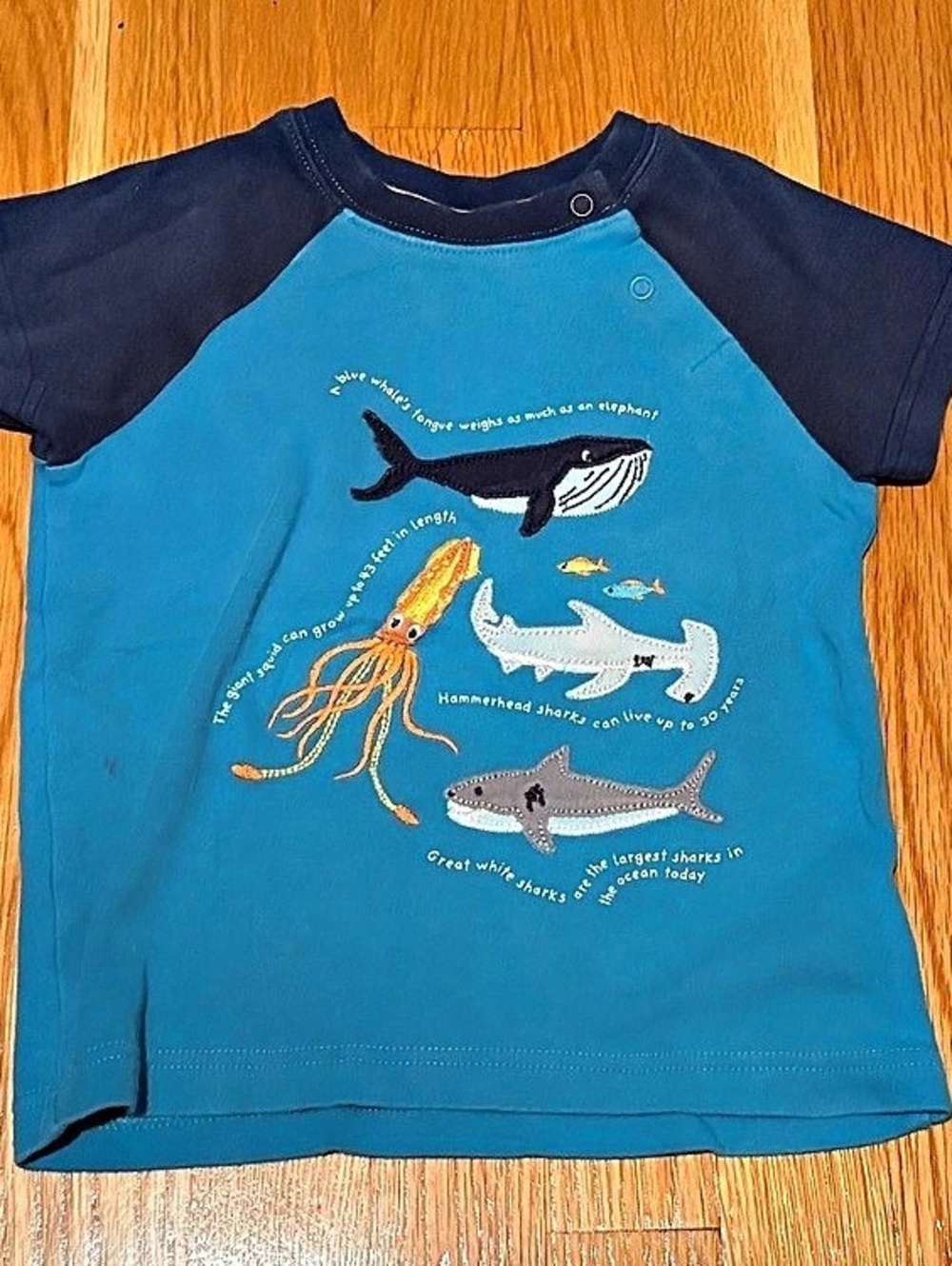 Frugi Creatures Graphic T-Shirt 3-4 years